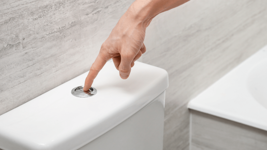 person pressing a toilet flush